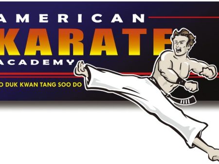 American Karate Academy Online