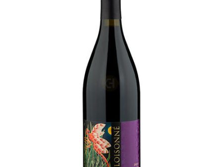 Cloisonne Pinot Noir Sonoma Coast 2019 - 750ML For Cheap